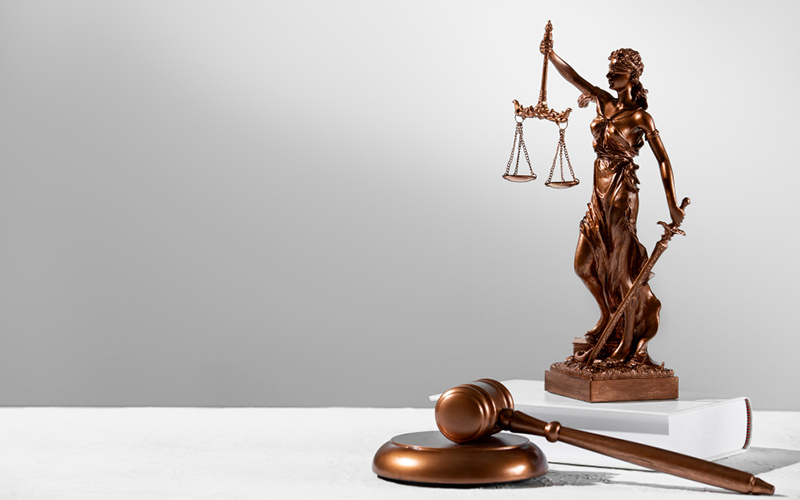 Absconding Removal & Fine Waiver Assistance